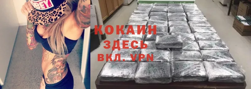 Кокаин FishScale  ссылка на мегу как зайти  Губкин 