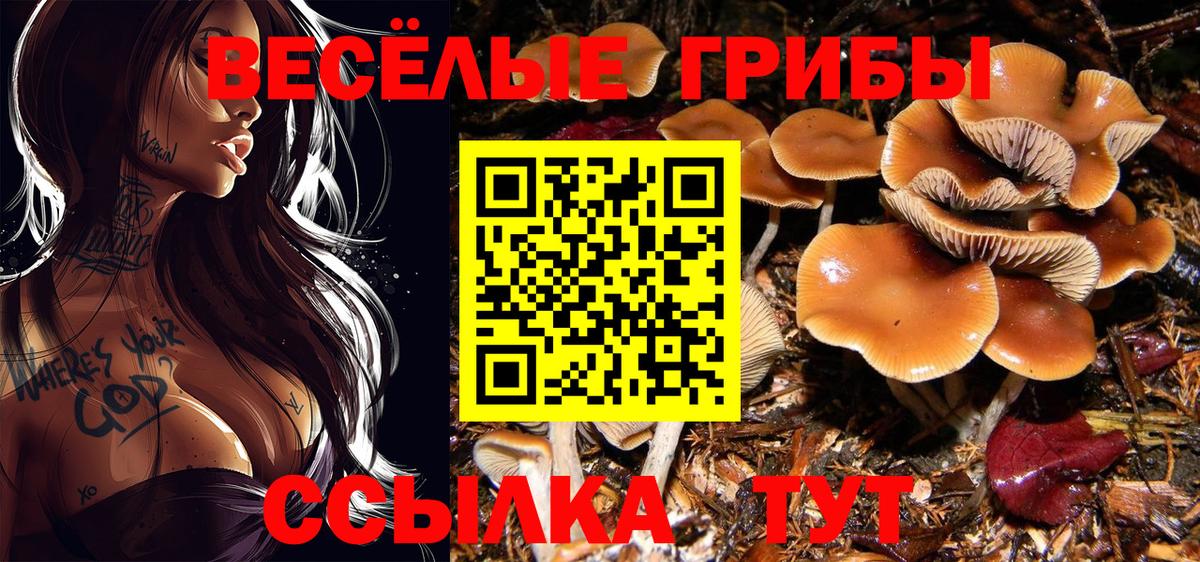 Губкин  Вход с VPN  Кокаин  MDMA  NBOMe  Мяу-Мяу  Гарик  Марки ЛСД  Конопля  Cocaine  A PVP 
