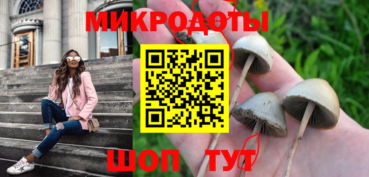 Галлюциногенные грибы мухоморы Губкин