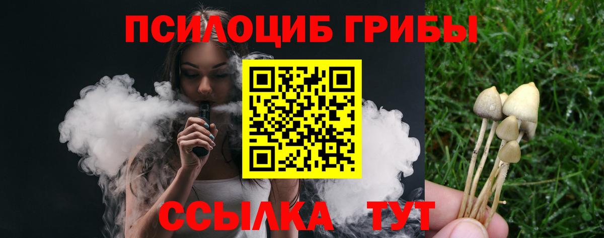 Псилоцибиновые грибы MAGIC MUSHROOMS  Вход с VPN  Губкин 